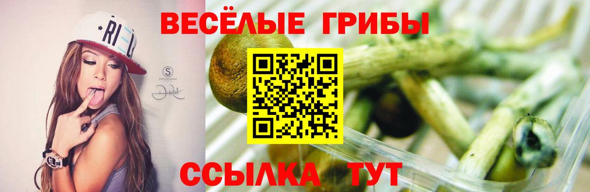 Псилоцибиновые грибы прущие грибы Ковров